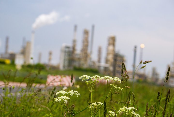 Landschaftsfoto mit heimischen Gräsern Vordergrund und den Industrieanlagen von Leuna unscharf im Hintergrund.